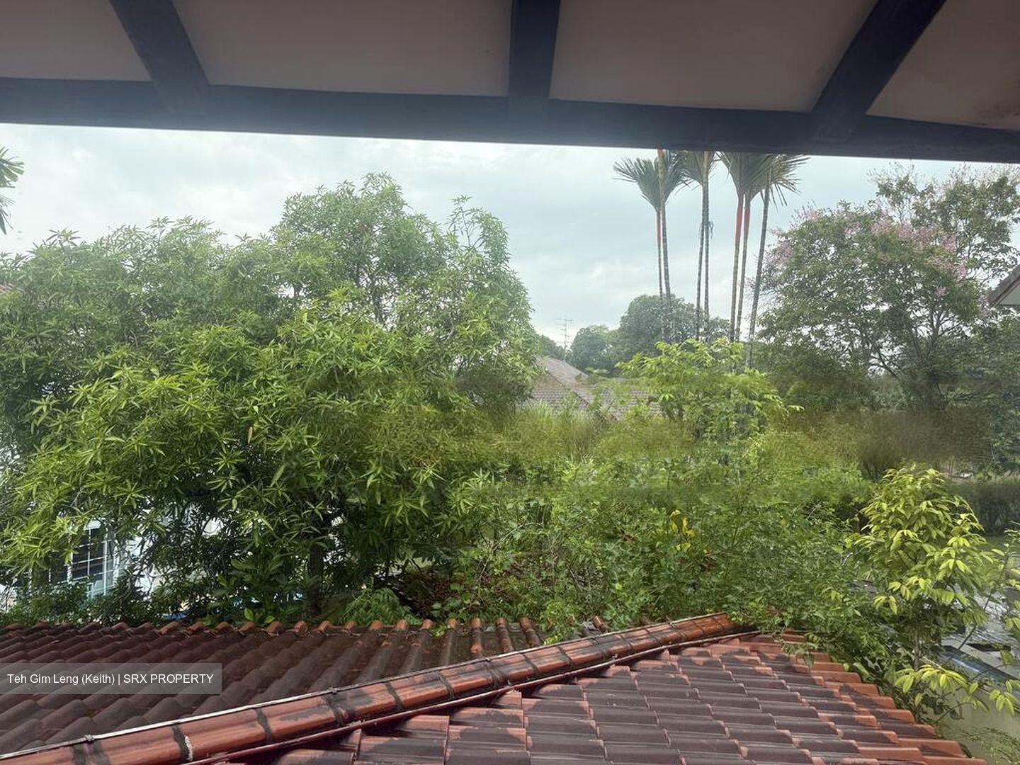 Watten Estate (D11), Detached #466270971
